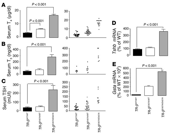 Analysis of the H-P-T axis of the WT and E457A mutant mice. (A–C) Total ...