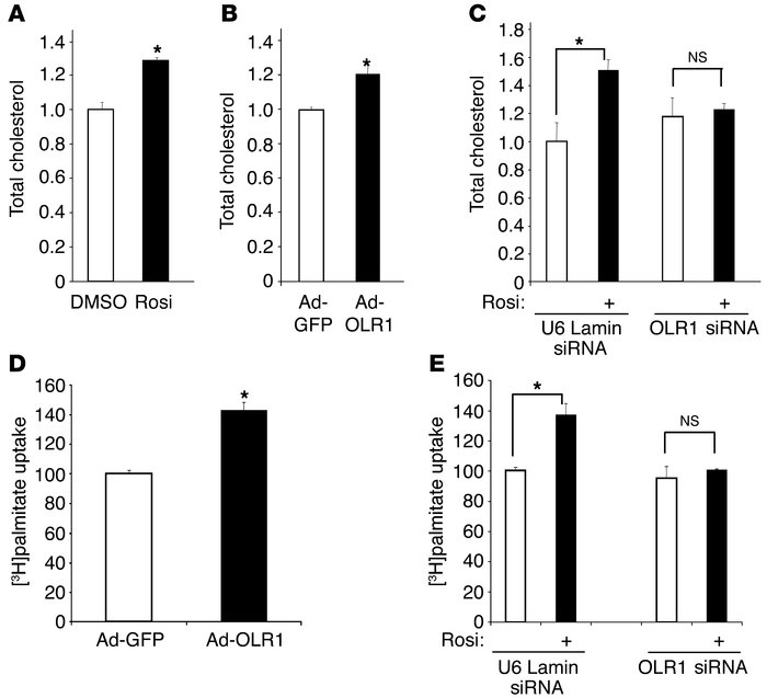 Rosiglitazone upregulation of OLR1 increases adipocyte cholesterol conte...