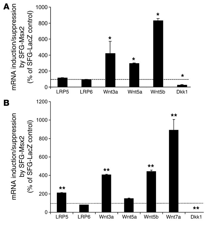 Msx2 suppresses Dkk1 but induces Wnt3a and Wnt7a mRNA. RNA was extracted...