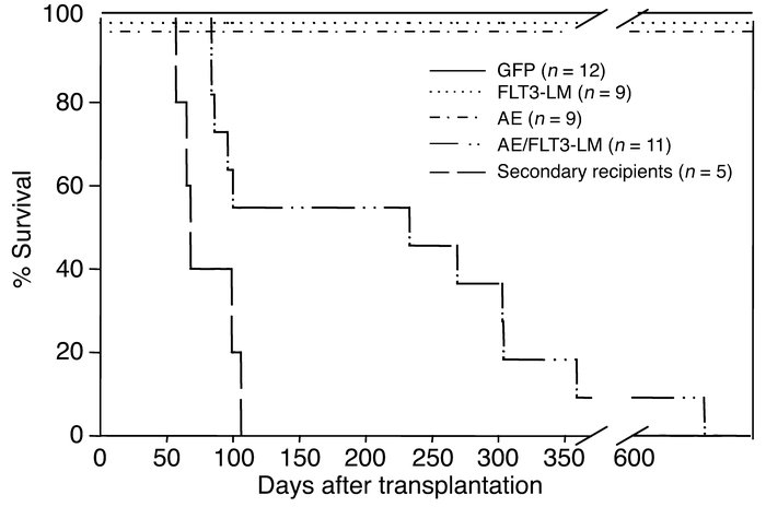 Survival of transplanted mice. Survival curve of mice transplanted with ...