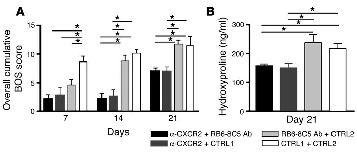 Neutrophil depletion plus anti-CXCR2 Ab treatment has no synergistic or ...