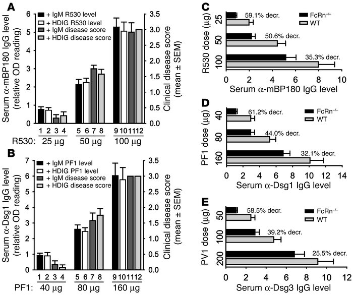 Relationship among pathogenic IgG doses, IgG clearance rate, and disease...