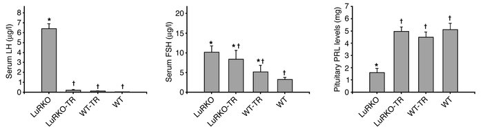 Serum LH and FSH concentrations and pituitary PRL levels in LuRKO, LuRKO...