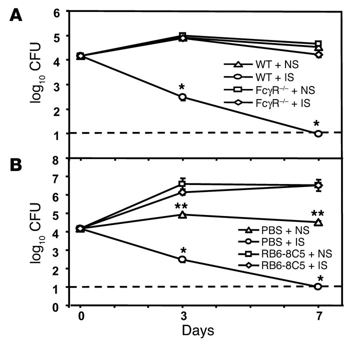 FcγRs and neutrophils are required for serum antibody–mediated clearance...