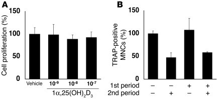 1α,25(OH)2D3 inhibits RANKL-induced terminal differentiation into osteoc...