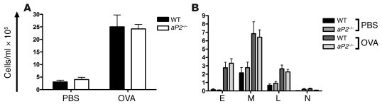 
                  Allergic peritoneal responses are unaltered inaP2–/–
...