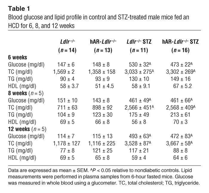 Blood glucose and lipid profile in control and STZ-treated male mice fed...