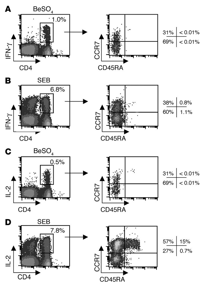 Maturation phenotype staining of beryllium-specific IFN-γ– and IL-2-expr...