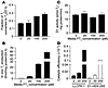 Whole-cell T3 production in LLCPK1 cells expressing endogenous D1 at differ