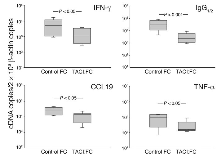 Neutralization of APRIL/BLyS in vivo with TACI:Fc in GC+ synovitis. Huma...