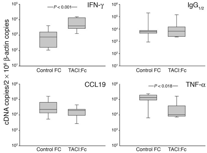 Therapeutic effects of TACI:Fc in aggregate synovitis. Human synovium–SC...