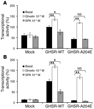 Ligand-mediated signal transduction of the A204E GHSR1a in transiently t...