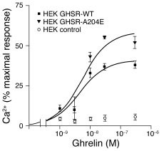 Calcium response to ghrelin of the WT and A204E GHSR1a receptors stably ...