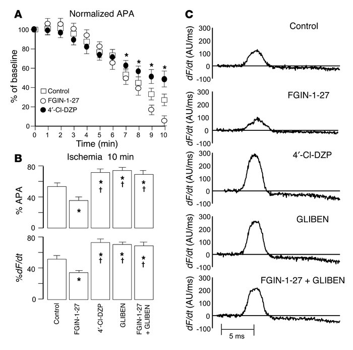 Effects on ischemia-induced AP amplitude and upstroke velocity. (A) Prog...