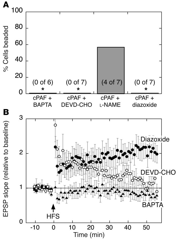 Chemical preconditioning prevents calcium- and caspase-dependent beading...