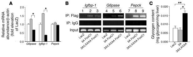 Effects of overexpression of 3A/LXXAA FoxO1 in liver on gene expression ...