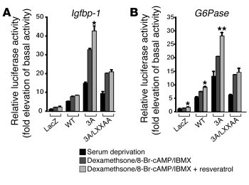 
                  Resveratrol activates induction of a reporter constru...