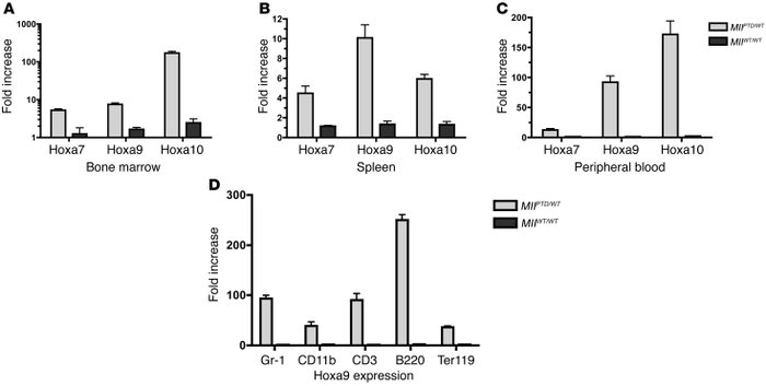 
HoxA gene expression levels.
               
(A–C) Quantification of Ho...