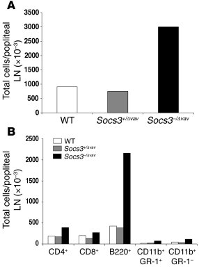 
                  Acute arthritis in Socs3–/Δvav
                  mice...