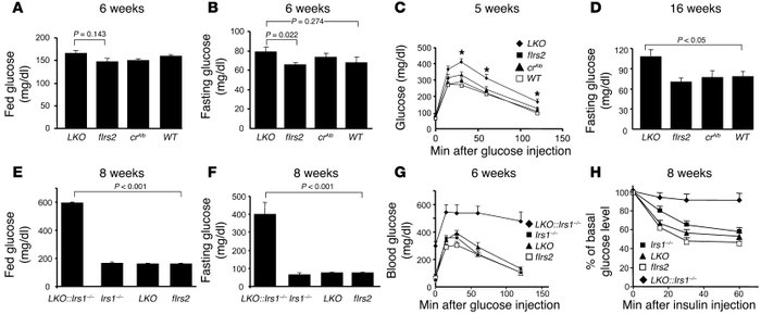 Glucose homeostasis.
(A and B) Nonfasting (A) and fasting (B) blood gluc...