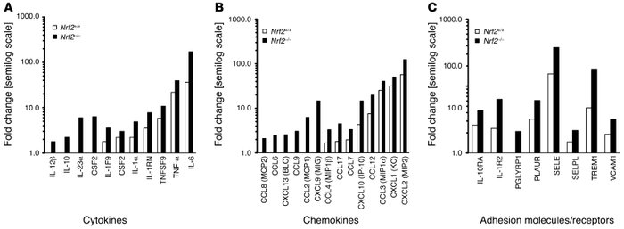 Greater expression of proinflammatory genes associated with the innate i...
