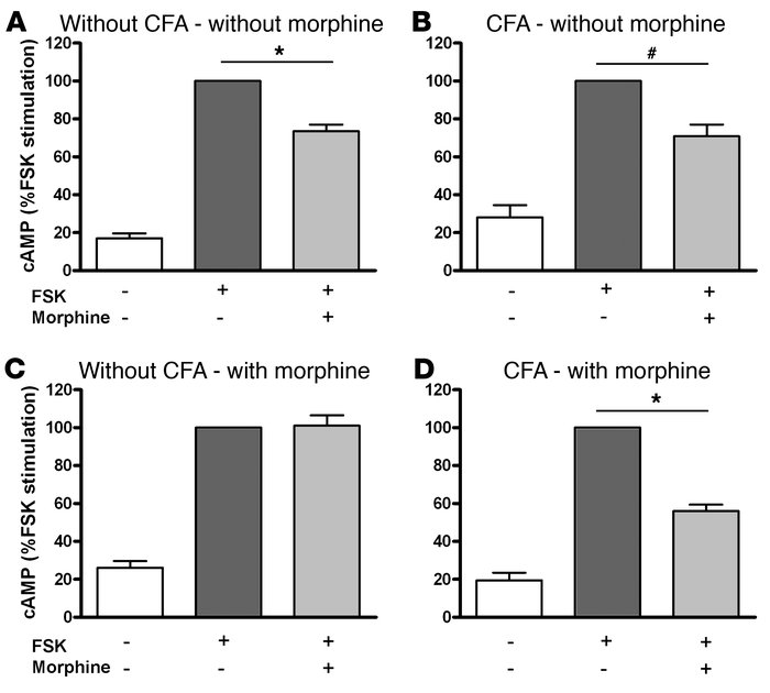 Content of cAMP in DRG cells from animals without and with hindpaw CFA i...