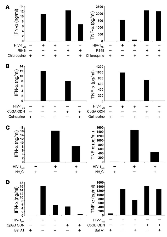 Inhibition of endosomal acidification/maturation. pDCs were enriched by ...