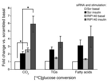 RIP140 depletion enhances glycolysis and TCA cycling, but not triglyceri...