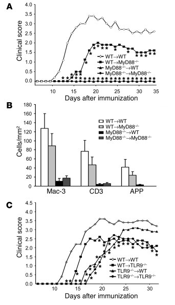 Nonhematopoietic TLR signaling is involved in EAE disease.
(A–C) Active ...