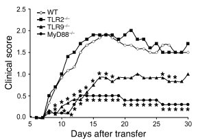 Encephalitogenic T cells are less effective at inducing EAE when transfe...