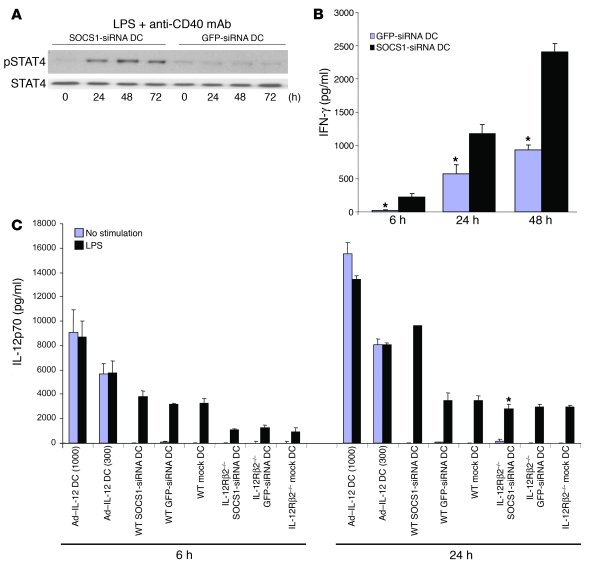 Enhanced signaling and sensitivity of SOCS1-silenced DCs to autocrine/pa...
