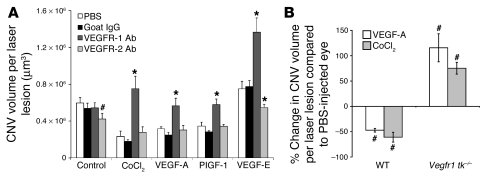 VEGF-A reduced CNV via VEGFR-1. (A) Anti–VEGFR-1 Ab (40 pmol), but not a...