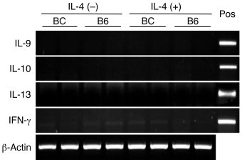 Effects of IL-4 on Tc1 and Tc2 cytokines.
Lungs were obtained from Tg-ne...