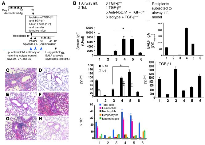 Neutralization of Notch1 prevents active suppression by adoptively trans...