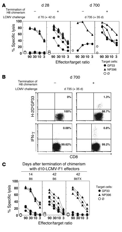 Thymus- and time-dependent reemergence of antigen-specific CTL precursor...