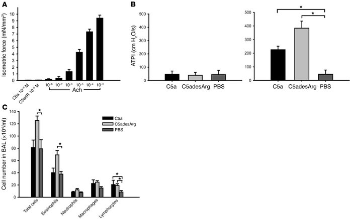 Effects of C5a and C5adesArg on ASM contraction and airway inflammation....