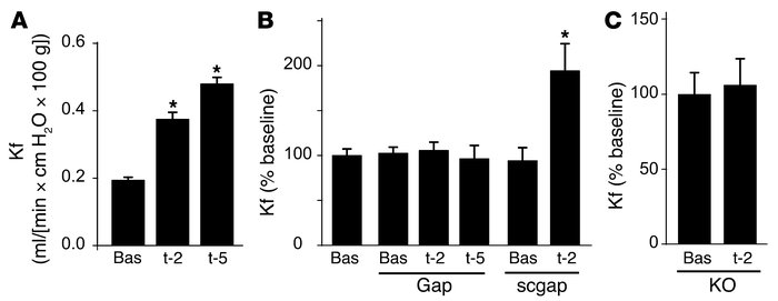 P-selectin expression in rat lungs.
(A) Images show venular P-selectin i...