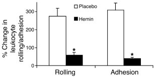 Further upregulation of HO-1 by hemin inhibits hypoxia/reoxygenation–ind...