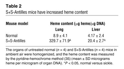 S+S-Antilles mice have increased heme content