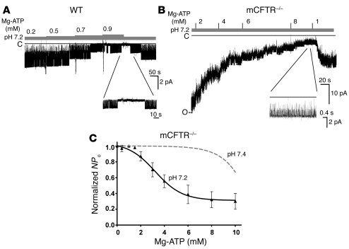 Effect of pH on the Mg-ATP sensitivity of ROMK in inside-out patches fro...