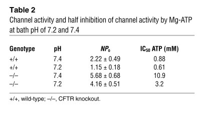 Channel activity and half inhibition of channel activity by Mg-ATP at ba...