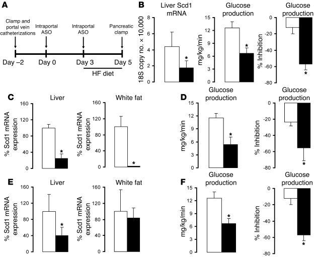 Selective attenuation of liver Scd1 expression normalizes hepatic insuli...