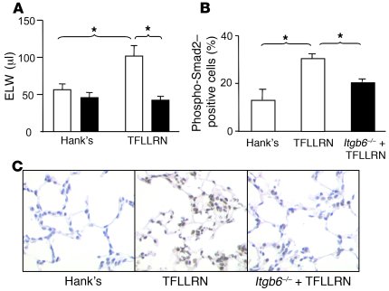 
                  Itgb6–/–
                  mice instilled with TFLLRN...