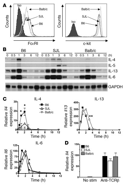 MCs exhibit strain-specific differences in Il4 expression after FcεRI cr...