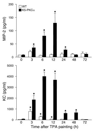 K5-PKCα mice have increased circulating levels of MIP-2 and KC in respon...
