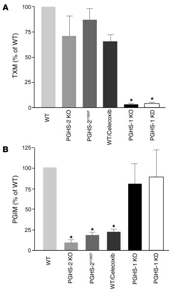 PGHS enzymes and eicosanoid biosynthesis.
(A) Urinary excretion of TXM w...