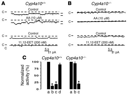 
                  Effects of AA and 11,12-EET on the ENaC activity of C...