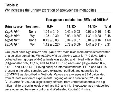 Wy increases the urinary excretion of epoxygenase metabolites