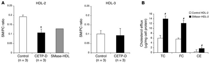 Analysis of SM mass in HDL-2 and HDL-3 and SMase-treated HDL-2–mediated ...