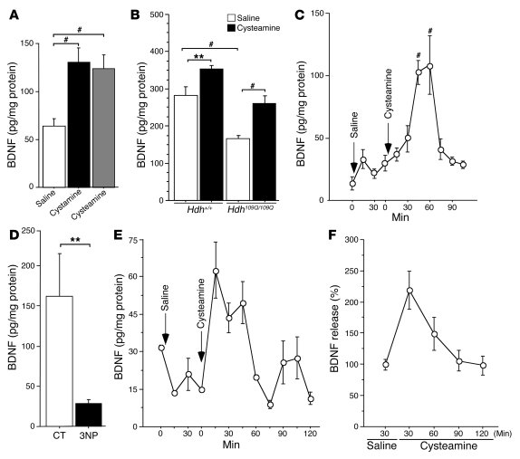 Cysteamine increases blood levels of BDNF in rodents and in a primate HD...